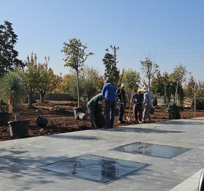 Aktoprak peyzaj çalışma