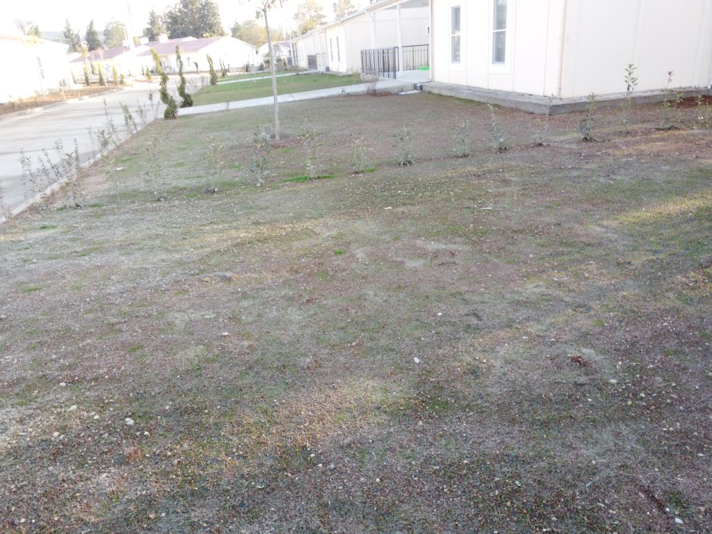 Adıyaman - Deprem Konutları