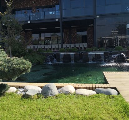 Genel Peyzaj Düzenlemesi