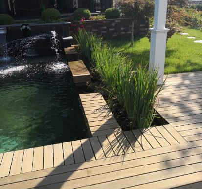 havuz ve bitki peyzaj çalışması