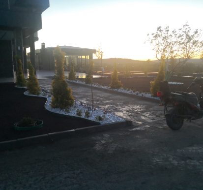 Bitkisel düzenleme çalışmamız