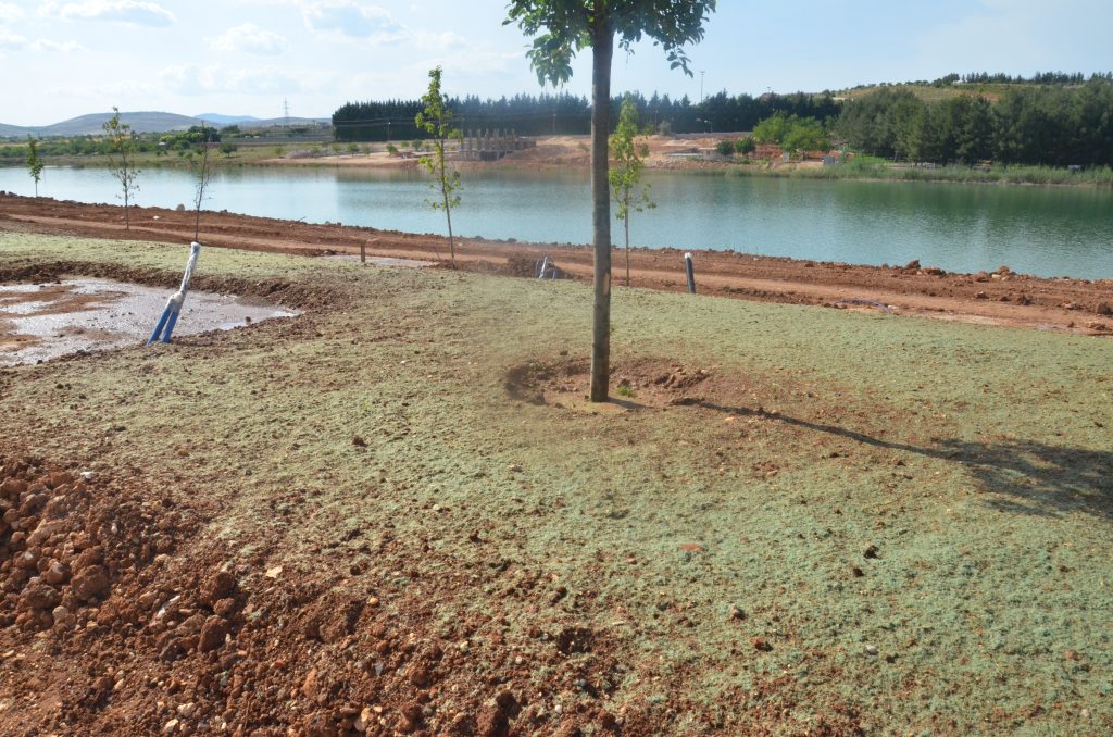Hydroseeding İlk Atımı